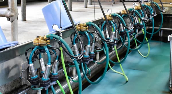 【現場技術シリーズ】ミルカーのメンテナンス、正しくできていますか？