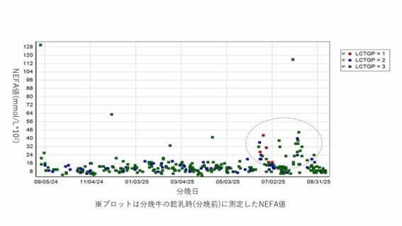 乾乳期のストレスを可視化するNEFAモニタリングの考え方