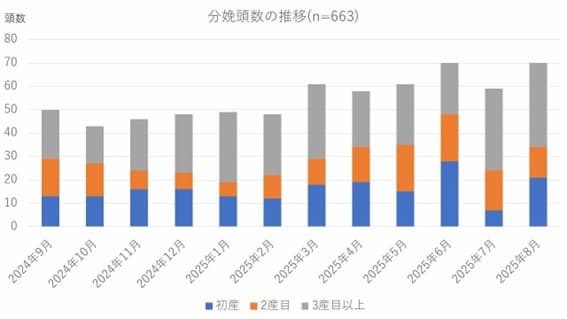 分娩ペンへの移動タイミングと過密が招くリスク