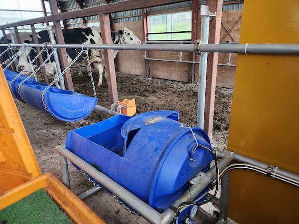 手製水槽という選択肢