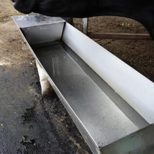 【現場技術シリーズ】牛が喜ぶ水槽の使い方・洗い方