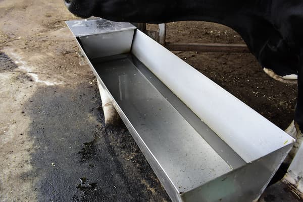 【現場技術シリーズ】牛が喜ぶ水槽の使い方・洗い方