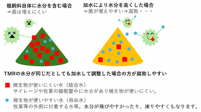 加水は「最後に短時間で」行なう