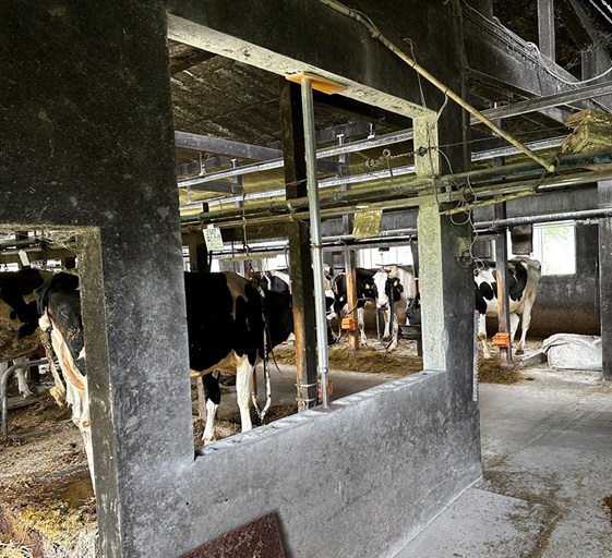 暑熱対策は総合的な視点が重要