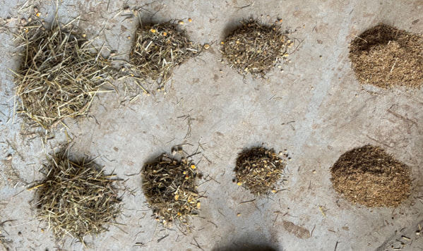 TMRの粒度管理はPSPSでチェック