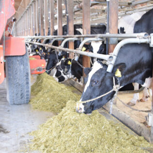 毎日同じTMRを作るためのポイント