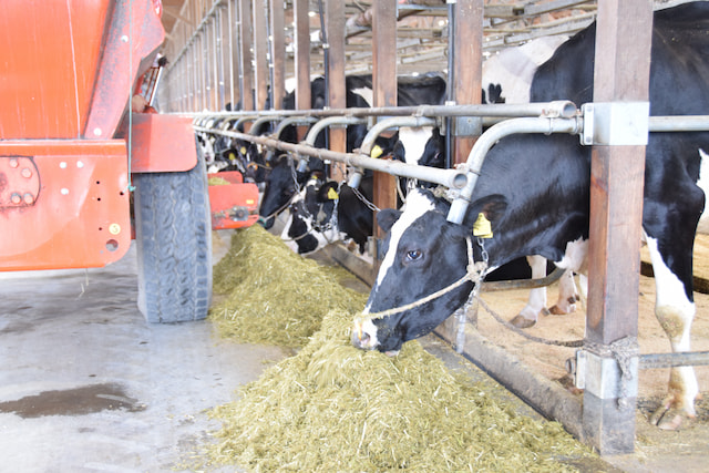 毎日同じTMRを作るためのポイント