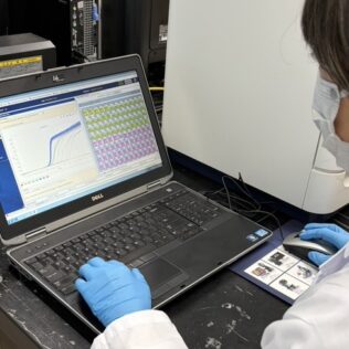 【牛伝染性リンパ腫対策】BLV検査とプロウイルス量を解説