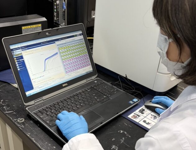 【牛伝染性リンパ腫対策】BLV検査とプロウイルス量を解説