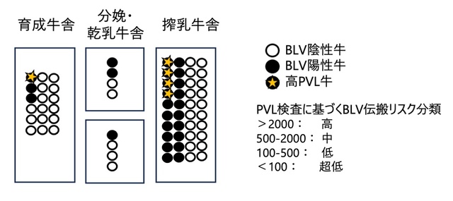 PVL検査を活用した具体的なBLV対策