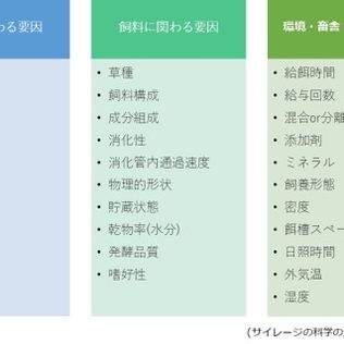 牛の移行期管理とは？ 採食量・受胎率を改善する管理ポイントを解説