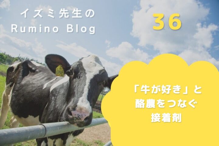 イズミ先生のRumino Blog 36